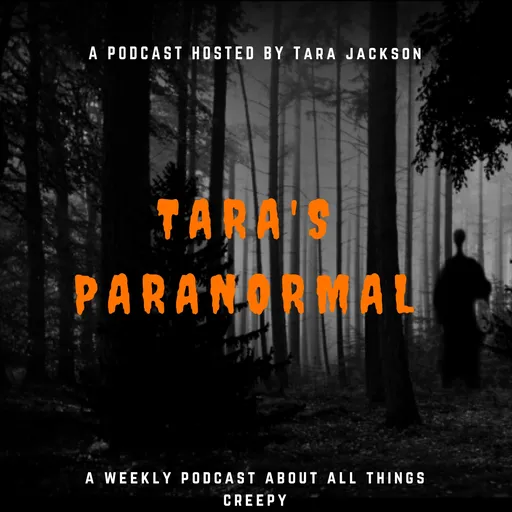 Tara's Paranormal Dialogue Artwork