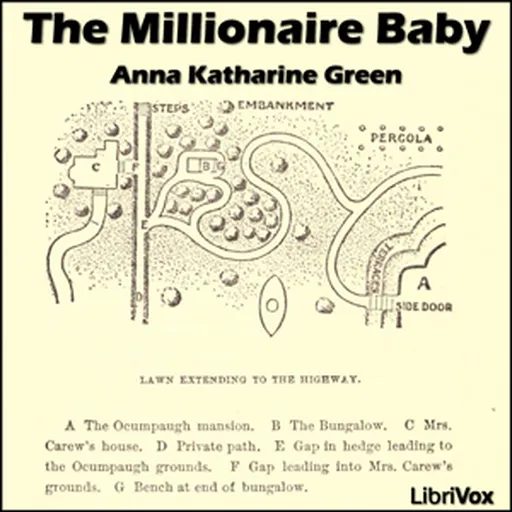 Millionaire Baby, The by Anna Katharine Green (1864 - 1935) Artwork