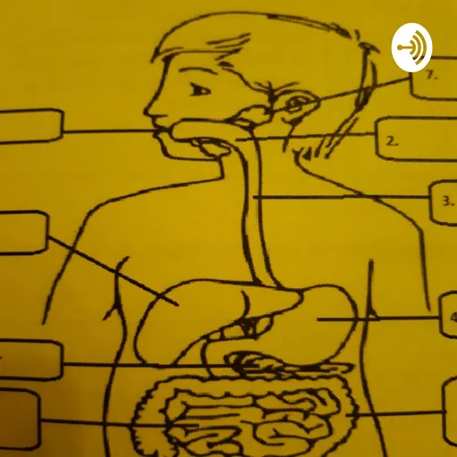 LA NUTRICION Artwork