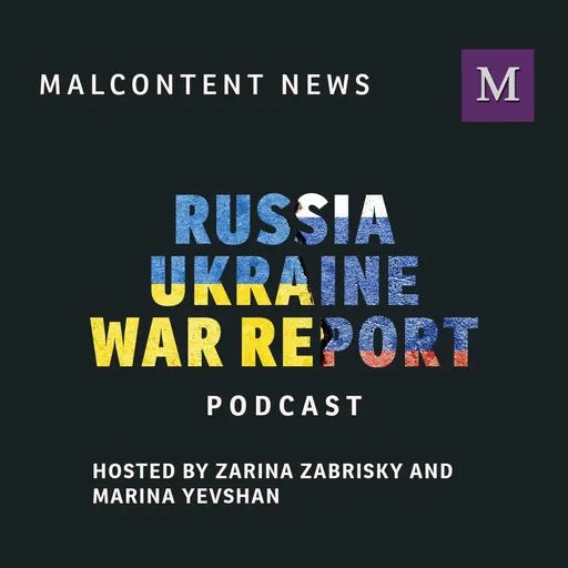 The Russia-Ukraine War Report Artwork