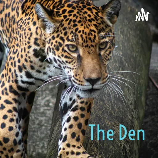 The Den: Jacksonville Jaguars Artwork