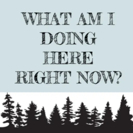 What Am I Doing Here Right Now? Artwork