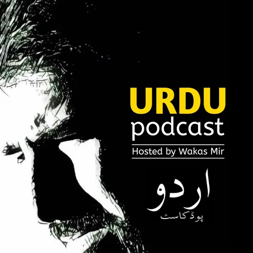 Urdu Podcast - Wakas Mir Artwork