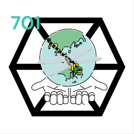701からお届けする！ツナカンラジオ！！ Artwork