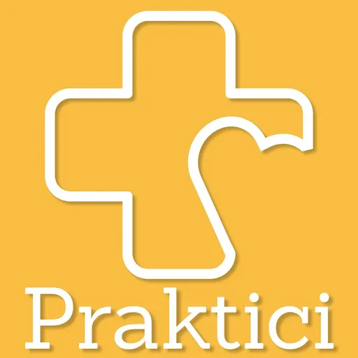 Praktici Artwork