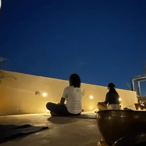 Episode Artwork