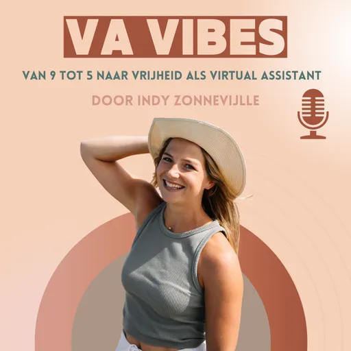 VA Vibes Artwork