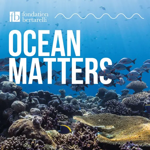 Ocean Matters Artwork