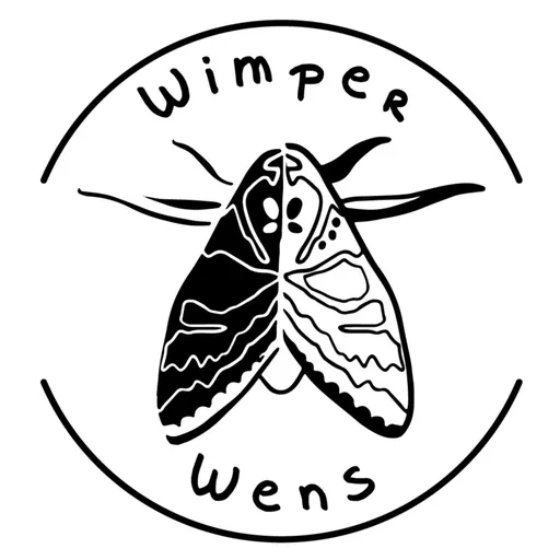 De WimperWens podcast Artwork