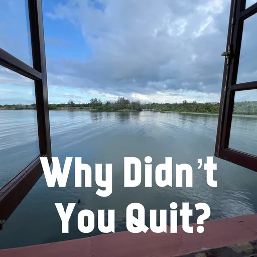 Why Didn’t You Quit? Artwork