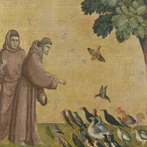 Preaching to Birds (and Cats) Artwork