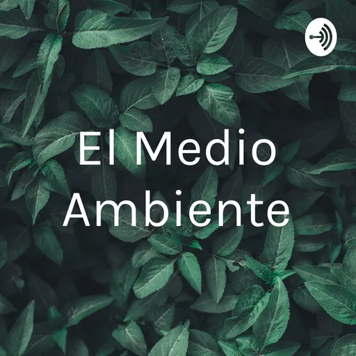 El Medio Ambiente Artwork