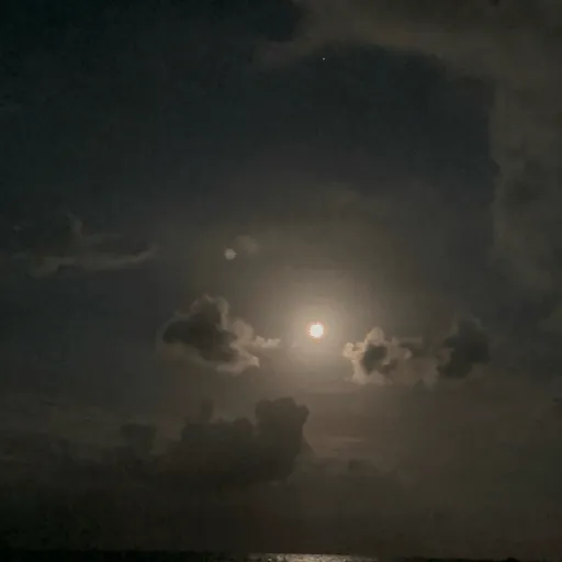 Episode Artwork