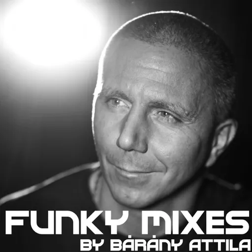 Funky Mixes Artwork