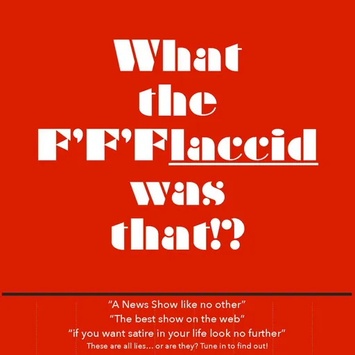 What The F'F'Flaccid Was That!? Artwork