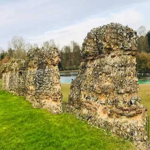 Wandering amidst Verulamium Woodlands Artwork
