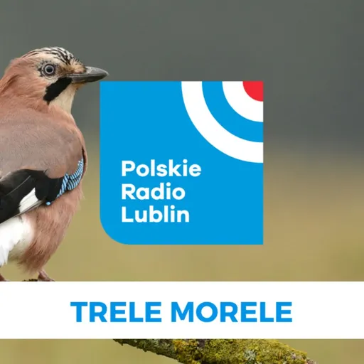 Trele morele w Radiu Lublin Artwork