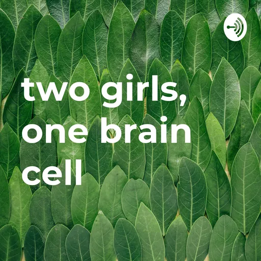 two girls, one brain cell Artwork