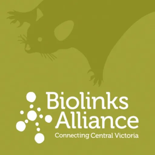 Biolinks Alliance Artwork