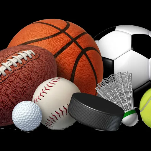 Sports Every Day Artwork
