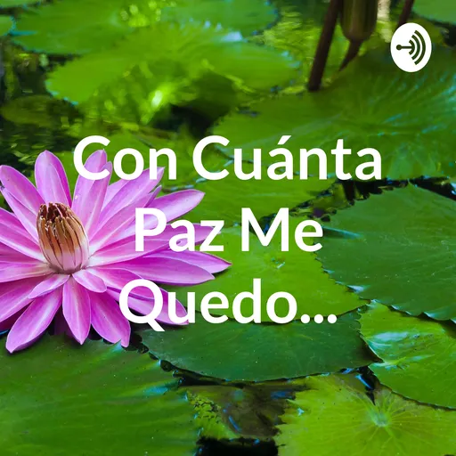 Medita Paso A Paso... Artwork