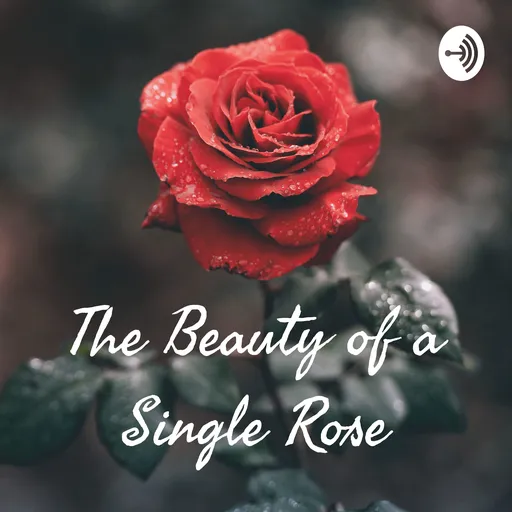The Beauty of a Single Rose Artwork