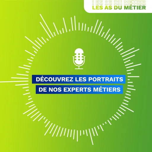 Les As du métier Artwork