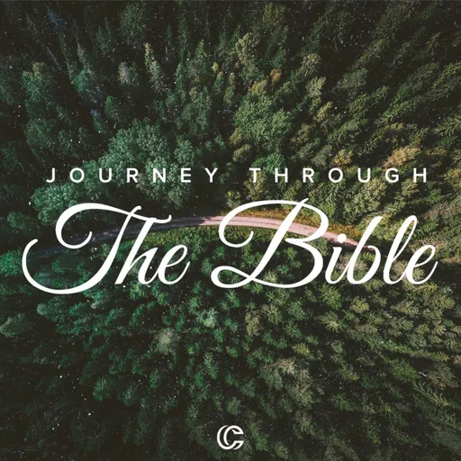 Journey Through The Bible Artwork