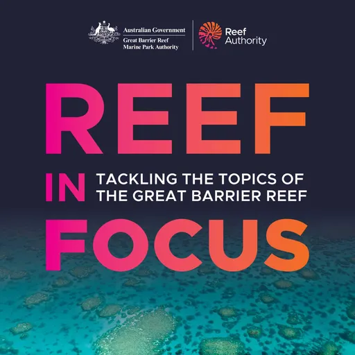 Reef in Focus Artwork