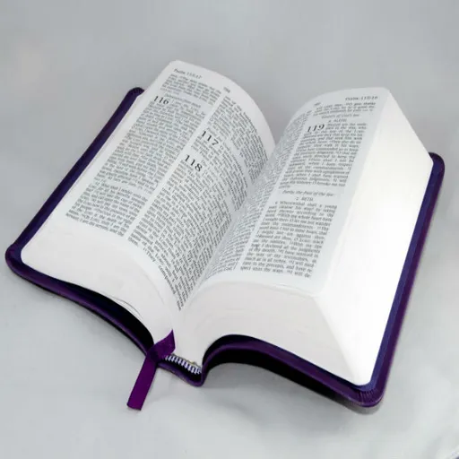 Matthew 2:1-18 Artwork