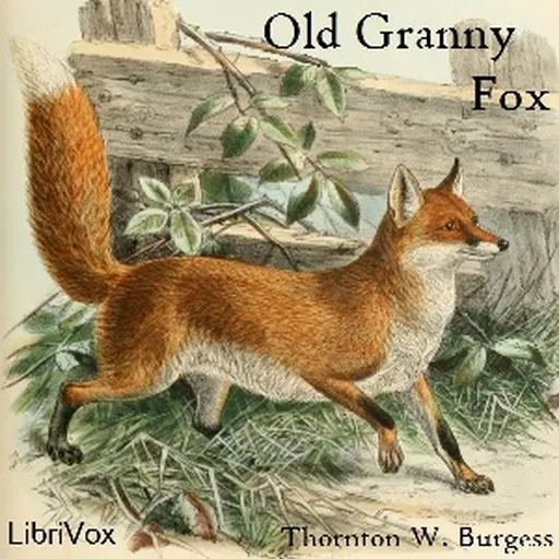 Old Granny Fox Artwork