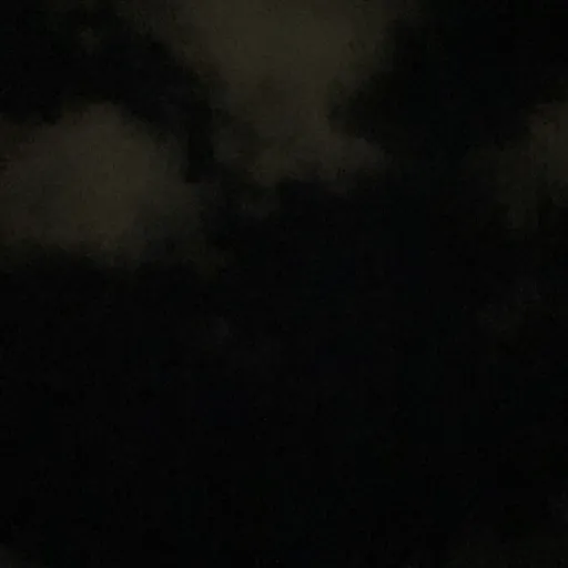 Episode Artwork