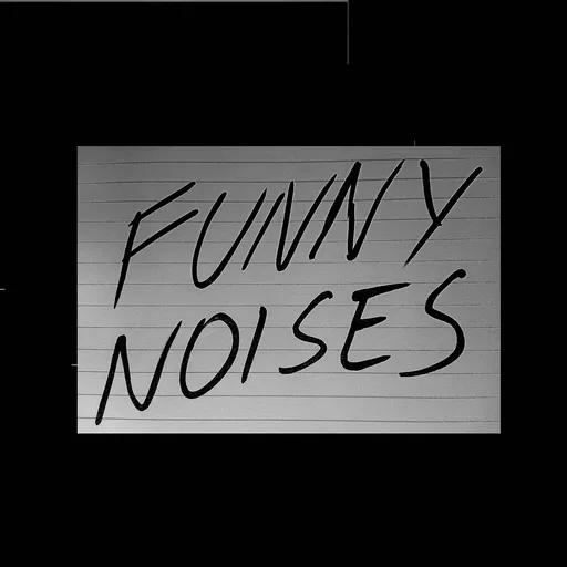 Funny Noises Artwork