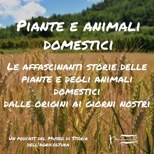 Piante e animali domestici Artwork