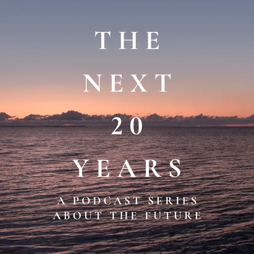The Next 20 Years Artwork