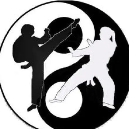 Martial Arts & Fitness Podcast Artwork