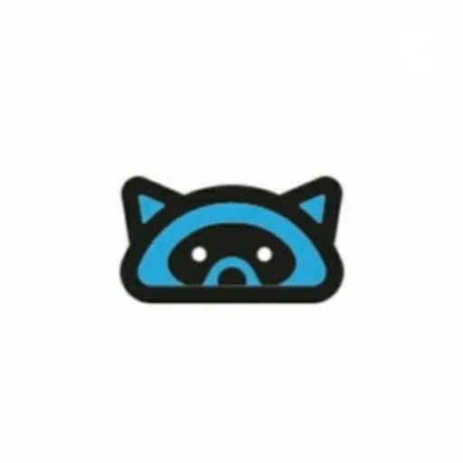 The Racoon Artwork