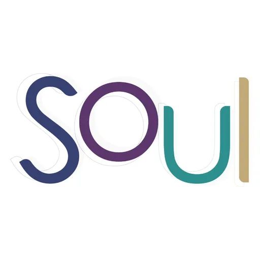 Soul Artwork