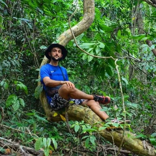 Ton Na Amazonia Artwork