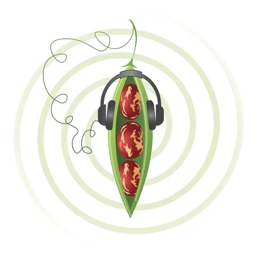 Podcast Artwork
