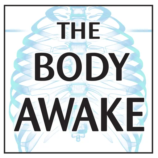 The Body Awake Artwork