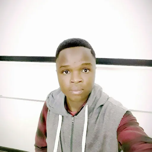 Mzansi News Artwork