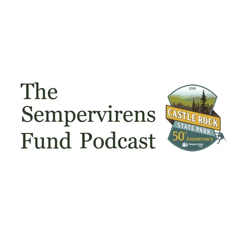 Podcast Artwork