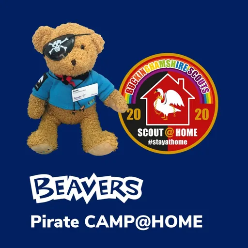 Beavers Pirate CAMP@HOME Artwork