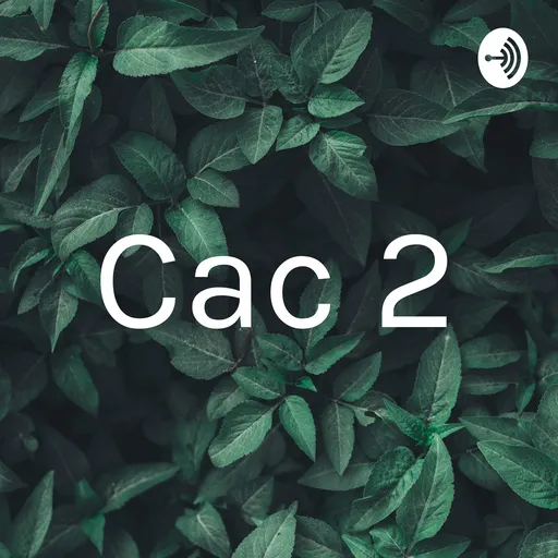 Cac 2 Artwork
