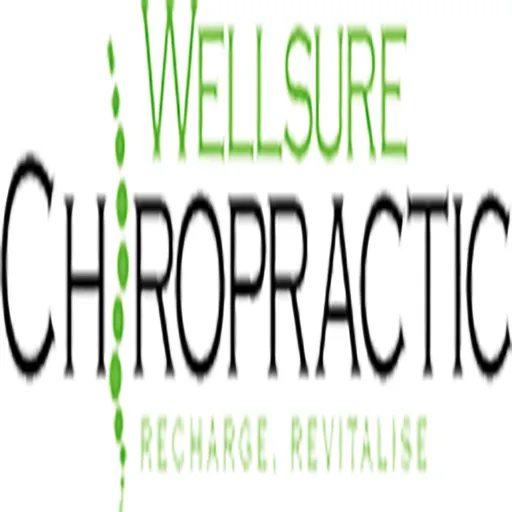 Wellsure Chiropractic Artwork