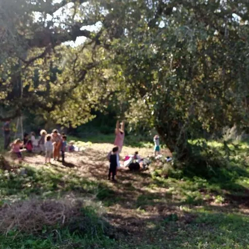 גן שדות שרים Artwork