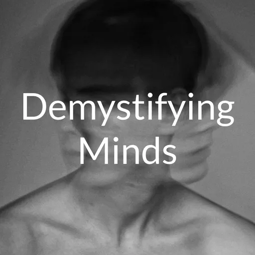 Demystifying Minds Artwork