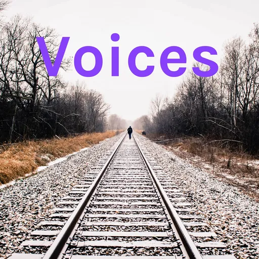 Voices Artwork