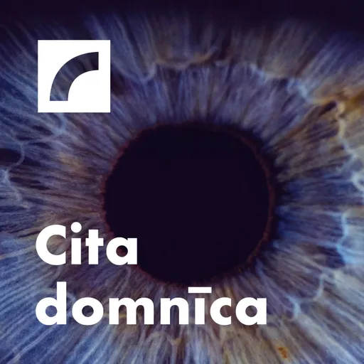 Pavisam Cita Domnīca Artwork